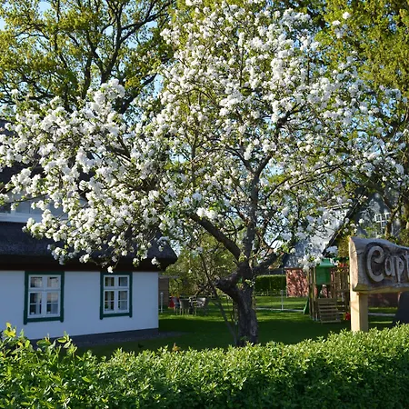 Captain Pahlen Zingst